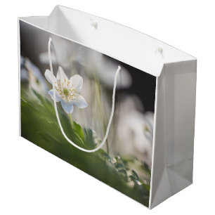 Foto Windblume Große Geschenktüte