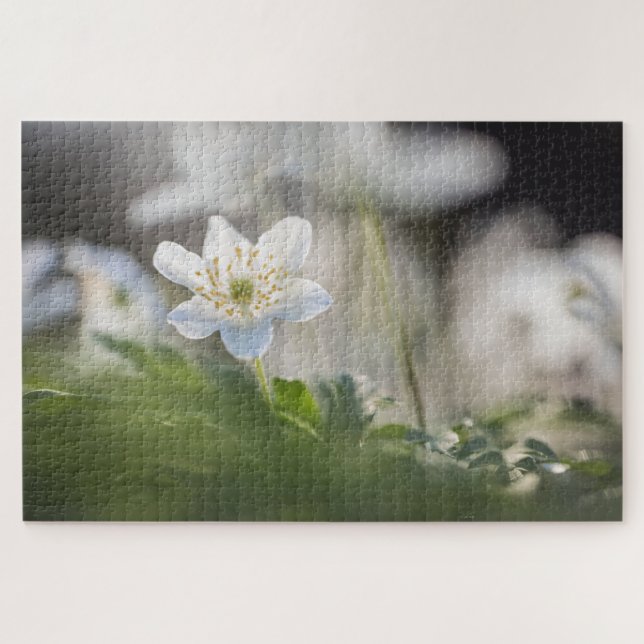 Foto Windblume Puzzle (Horizontal)