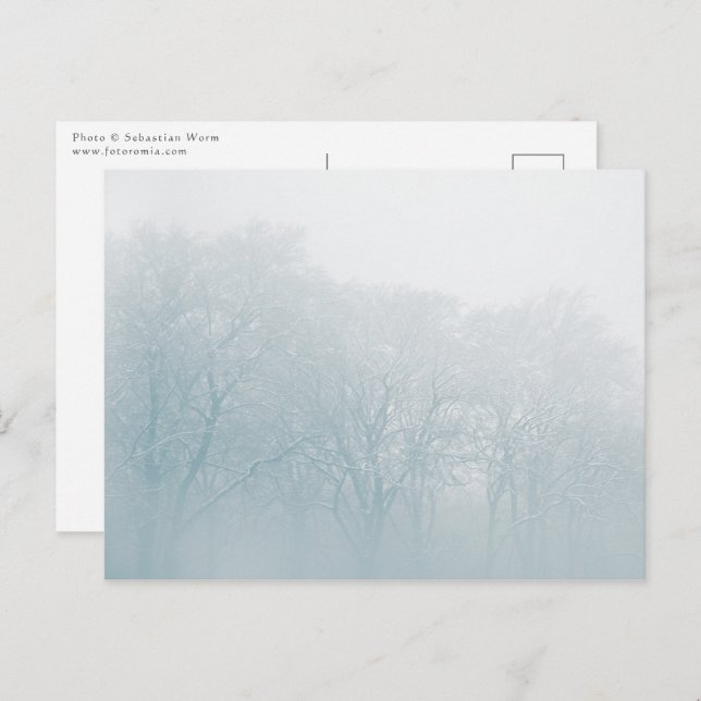 Foto Winterlandschaft Postkarte (Vorne/Hinten)