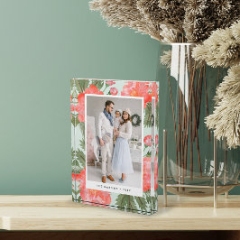 Foto Winterpeony