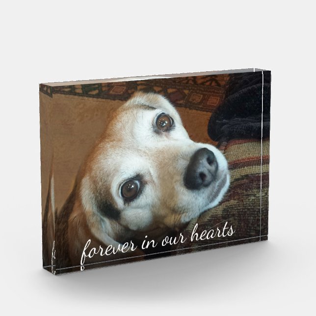 Foto zur Erinnerung von Haustieren für immer in un (Links)