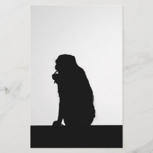 Foto zur Silhouette von Affen