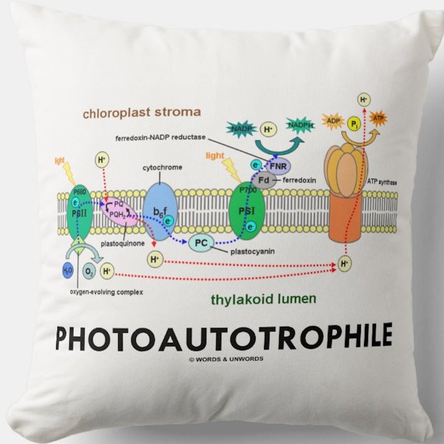 Fotoautotrophile Fotosynthese Kissen (Throw pillow for any food producer)