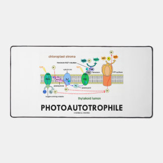Fotoautotrophile Fotosynthese Schreibtischunterlage