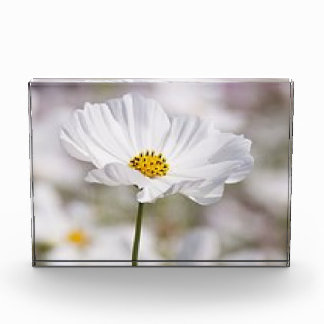 Fotoblock. Fotoblock