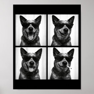 Fotobooth Australian Cattle Dog Lustiger Hund Self Poster