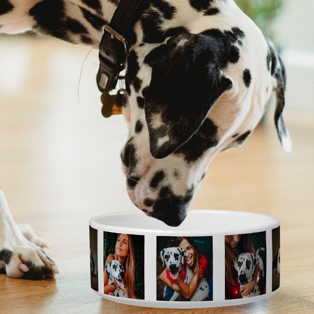 Fotocollage Cat Dog Family Fotomontage Napf (family pet photo collage pet bowl)