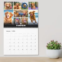 Fotocollage für Hunde