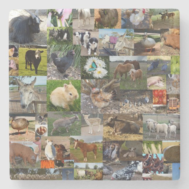 FotoCollage, Steinuntersetzer (Vorderseite)