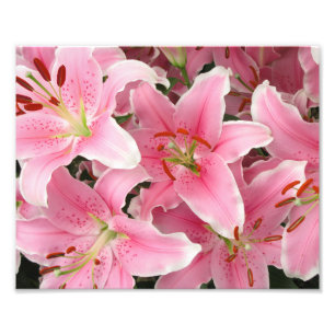 Fotodruck rosa Lilien