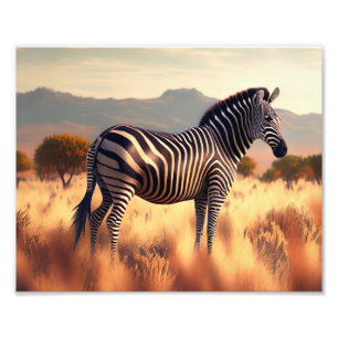 Fotodruck-Zebra Fotodruck