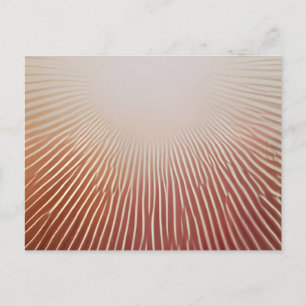 Fotodrucke Ankündigungspostkarte