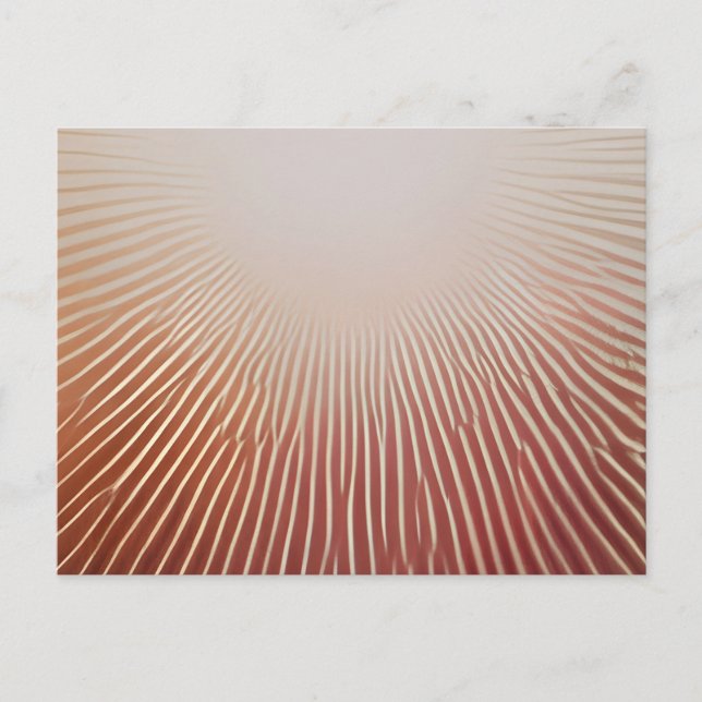 Fotodrucke Ankündigungspostkarte (Vorderseite)