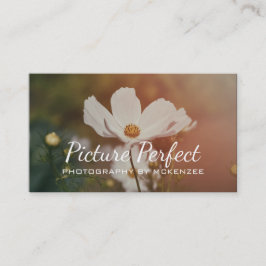 Fotograf, Fotografie, Visitenkarte