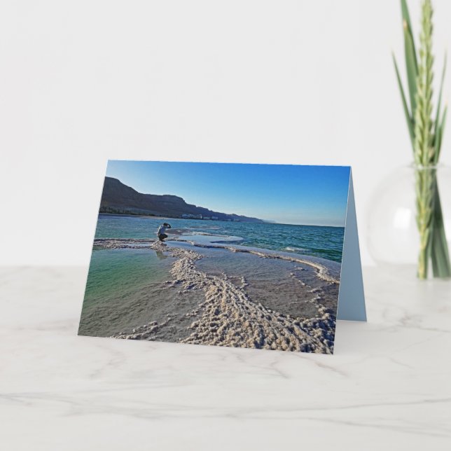 Fotograf im Toten Meer, Jeden Anlaß Gruß Karte (Vorderseite)