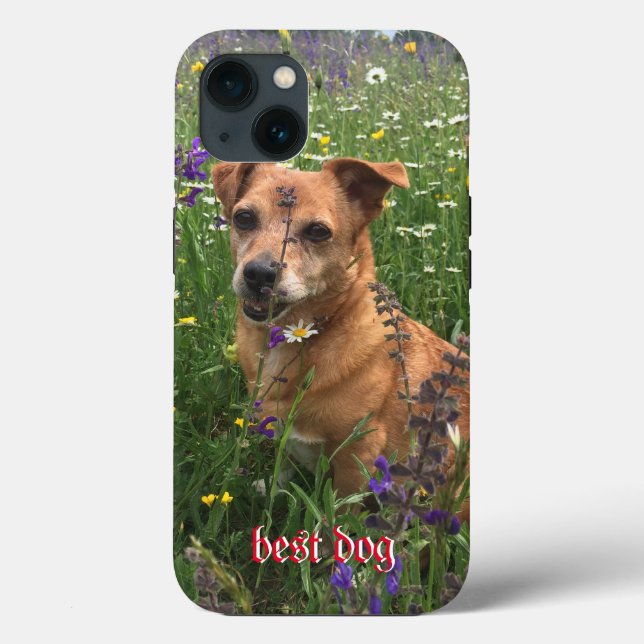 Fotograf-Telefonabdeckung Case-Mate iPhone Hülle (Rückseite)