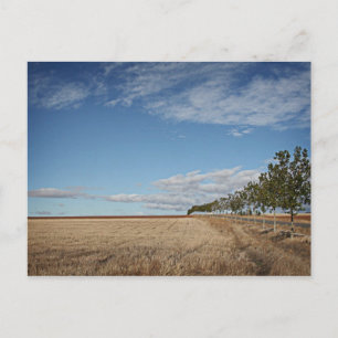 fotografias del Camino de santiago Postkarte