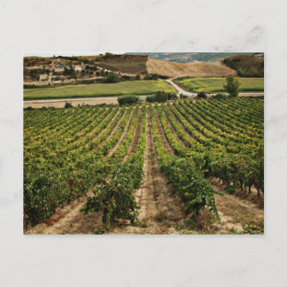 fotografias del Camino de santiago Postkarte