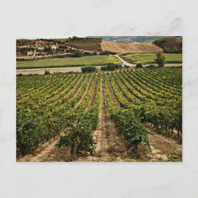 fotografias del Camino de santiago Postkarte (Vorderseite)