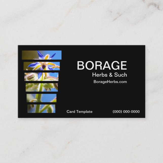Fotografie Borage KräuterVisitenkarten Visitenkarte (Vorderseite)