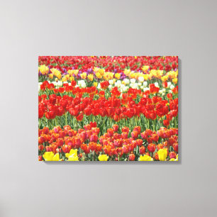 Fotografie Canvas Prints Tulip Blume Floral Leinwanddruck
