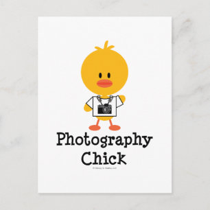 Fotografie Chick Postcard Postkarte