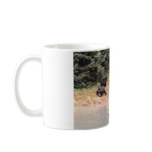 Fotografie der Grizzly Mother, 2 Cubs, River, AK