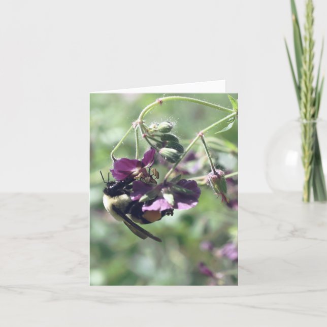 Fotografie einer Biene mit Blütenpollen (Vorderseite)
