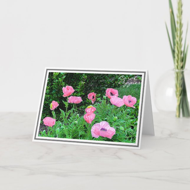 Fotografie Elf korallenfarbene Pflaumen im Garten Karte (Vorderseite)