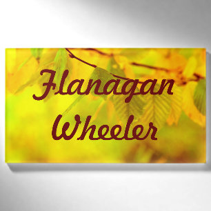 Fotografie - Herbstbiech-Blätter + Ihre Ideen Namenschild