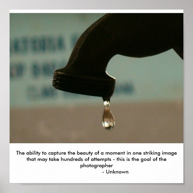 Fotografie ist... poster (Vorne)