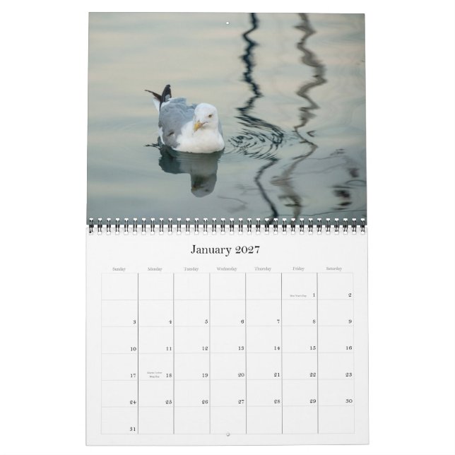 Fotografie-Kalender 2013 Kalender (Jan 2027)