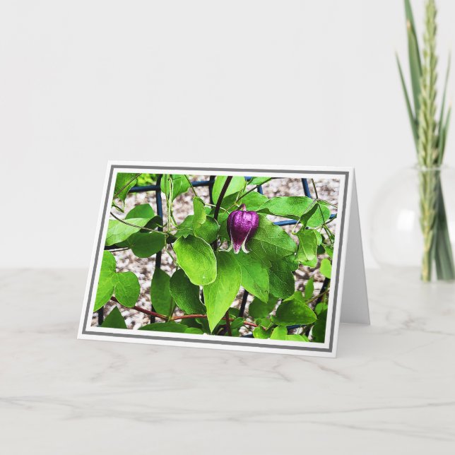 Fotografie Nah-up Lila Clematis Green Foliage Karte (Vorderseite)