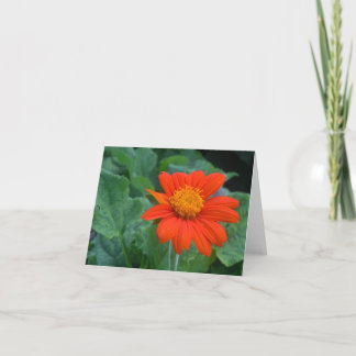 Fotografie Notecard Karte