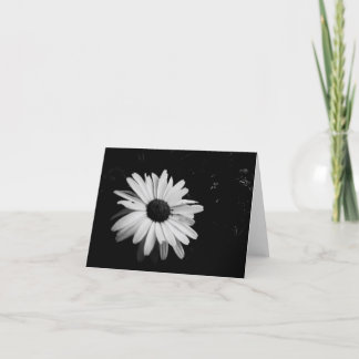 Fotografie Notecards Karte