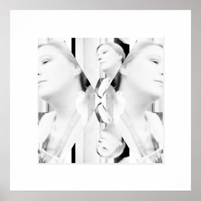 Fotografie schwarzweiß-Foto Fotokunst Poster (Vorne)