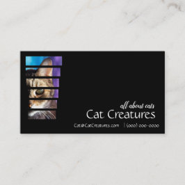 Fotografie Visitenkarte