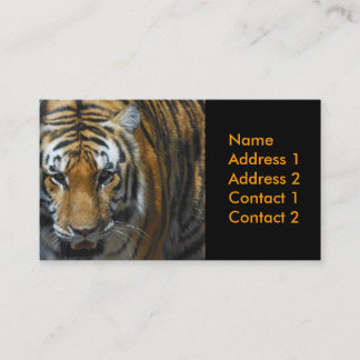 Fotografie-Visitenkarte Visitenkarte