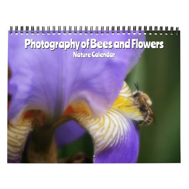 Fotografie von Bienen und Blume - Naturkalender Kalender (Titelbild)