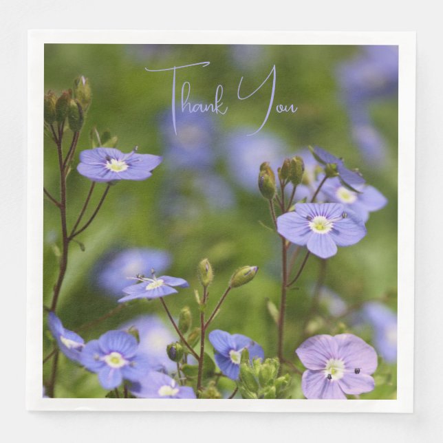 Fotografie von Blume Serviette (Vorderseite)