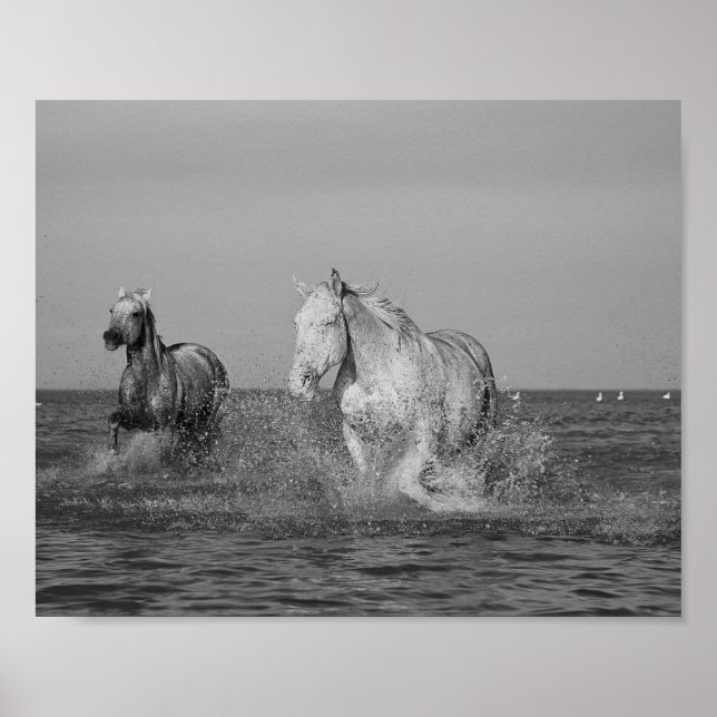 Fotografie von Equine Fine Art, Poster (Vorne)