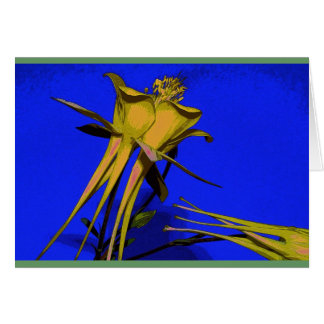 Fotografie von gelbem columbine