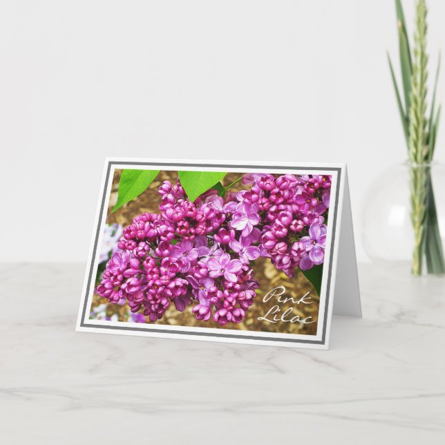 Fotografie von Pink Lilac Blume Cluster Karte (Vorderseite)