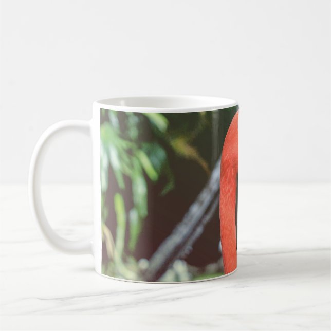 Fotografie von rotem Langhals Kaffeetasse (Links)