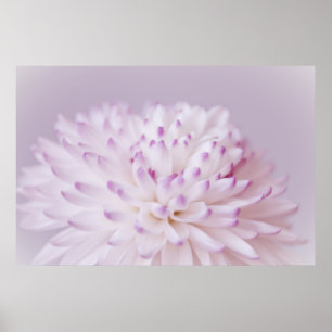 Fotografie von weichpastellfarbenen Blumen Poster