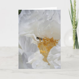 Fotografie von weißen Peony und Bienen Karte