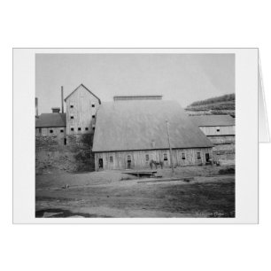 Fotografie zur Reduzierung von Todesholz