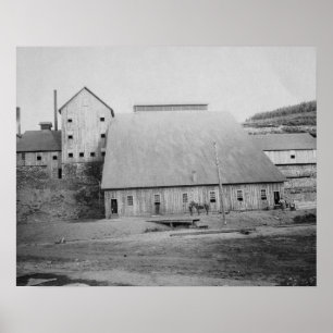 Fotografie zur Reduzierung von Todesholz Poster