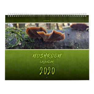 FOTOGRAFIEN DES PIENPANO-MUSHROOM KALENDER