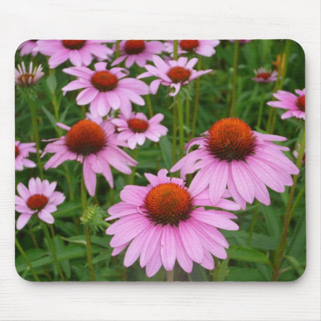 Fotografieren Hot-Pink-Blume im Garten Mousepad (Vorne)